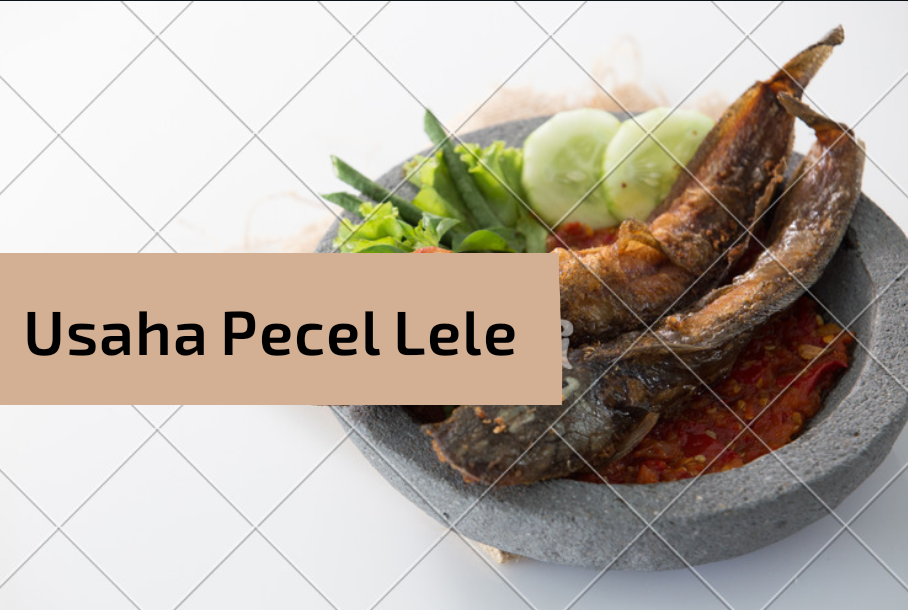 Modal Usaha Pecel Lele dan Peralatannya