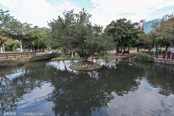 《台中．北屯》敦化公園|美好書席|親水生態蓮花池|綠草坪|親子休閒好去處
