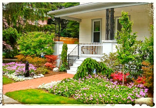 Front Yard Landscaping