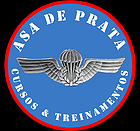 PARCEIRO DO BLOG - ASA DE PRATA