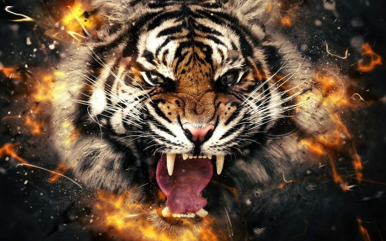 Fire Tiger Wallpaper