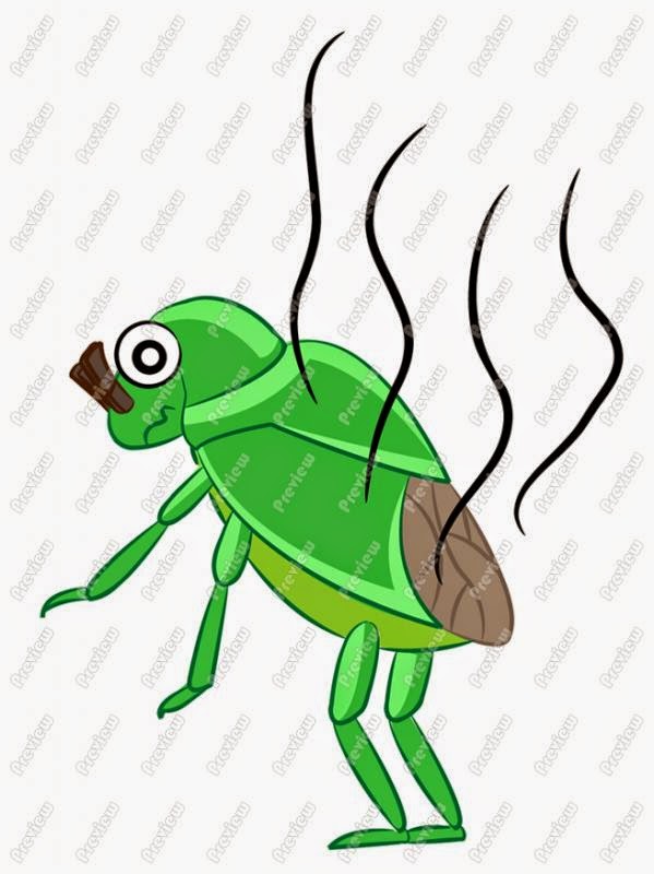 Songs of Mark Cote: Stinky The Stink Bug