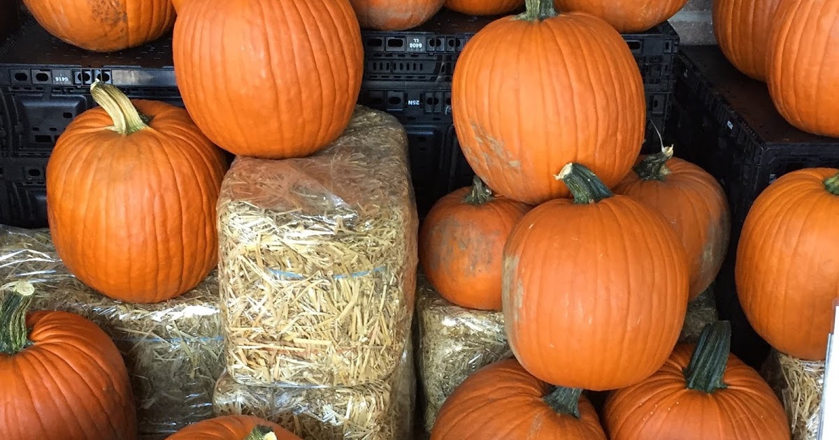 Fun Things To Do in Chester County This Weekend For Families and Kids