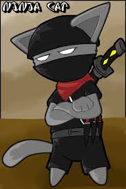 cat ninja unblocked no flash cat ninja unblocked no flash