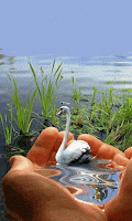 %25D0%25BB%25D0%25B5%25D0%25B1%25D0%25B5%25D0%25B4%25D1%258C.gif