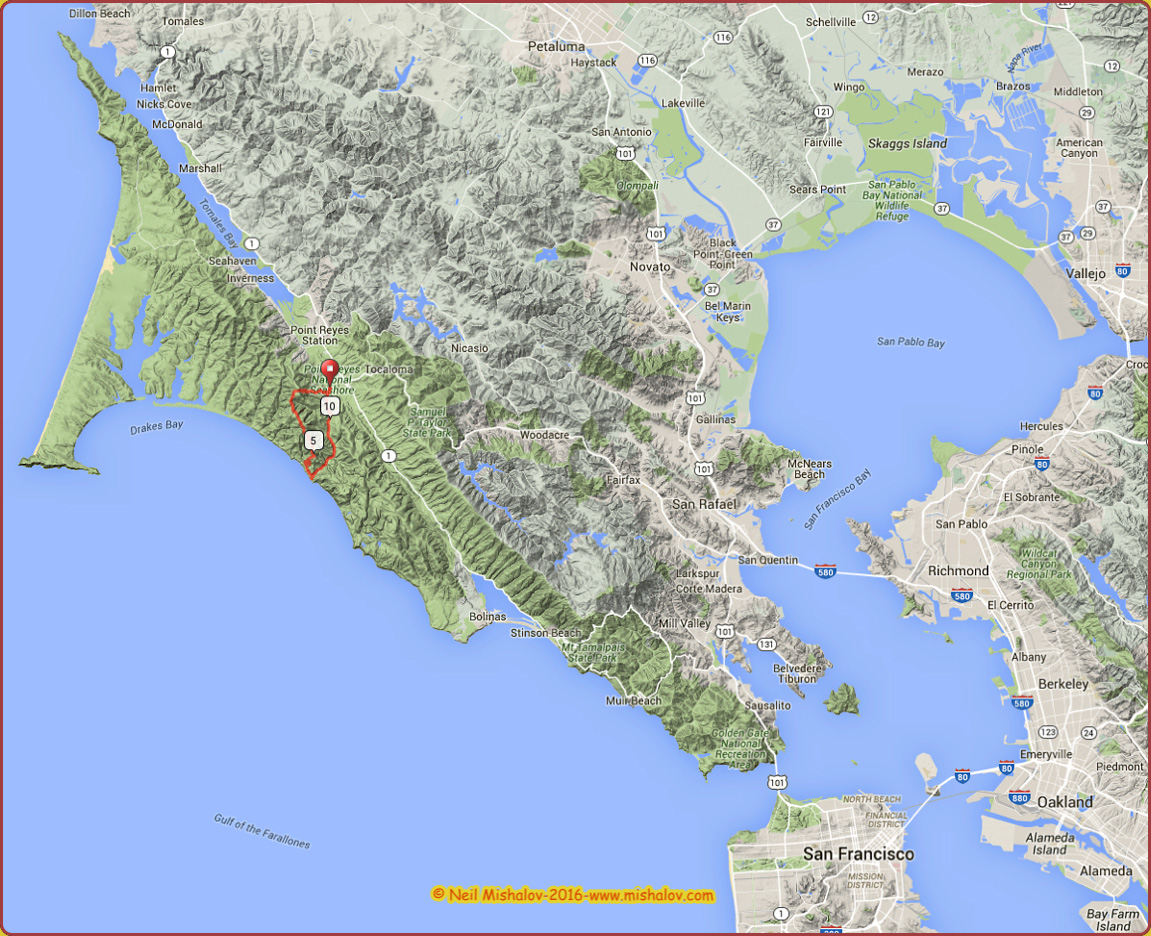 San Francisco Bay Area Photo Blog: Point Reyes National Seashore: 12 ...