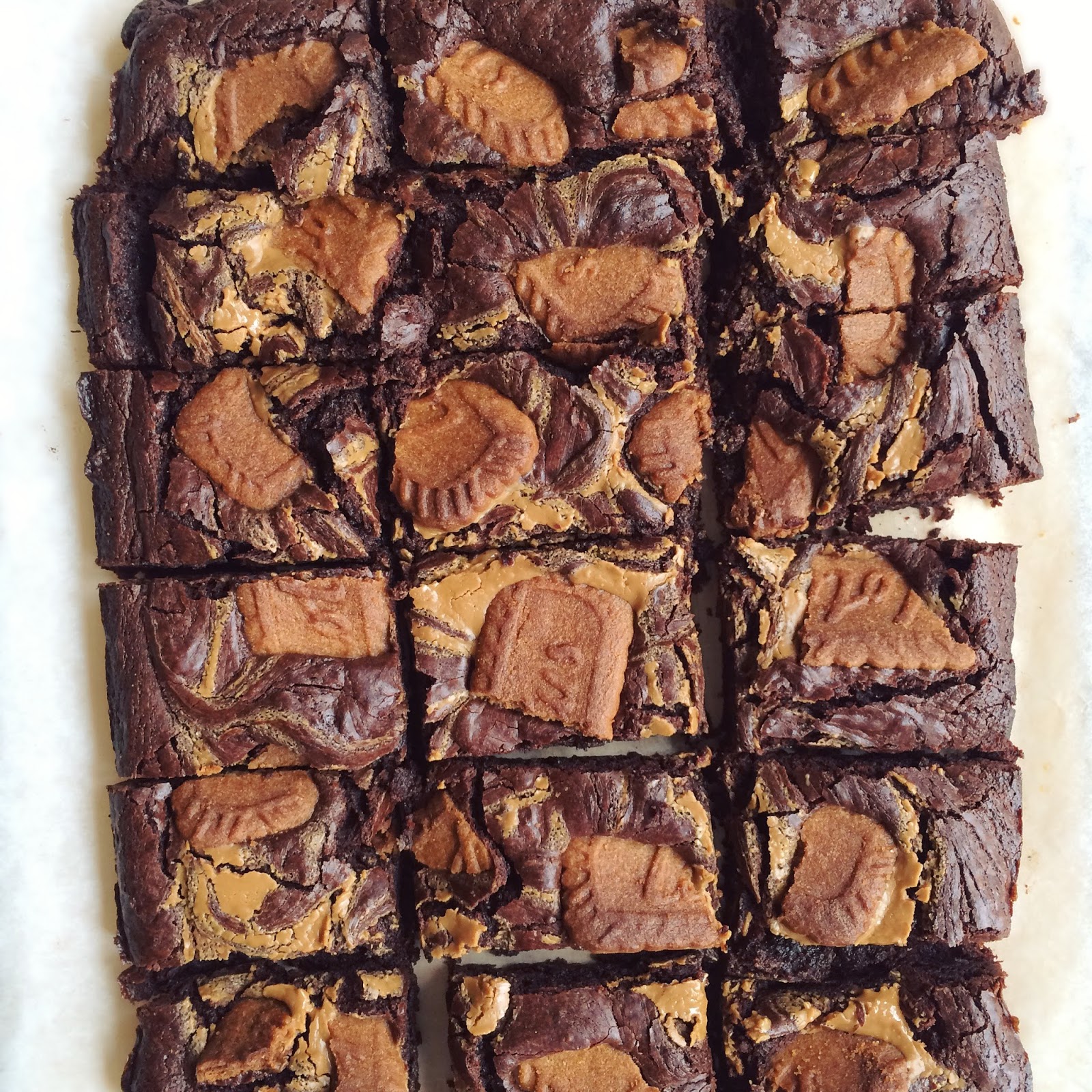 Brownie Blondie Bakes Biscoff Swirl Brownies