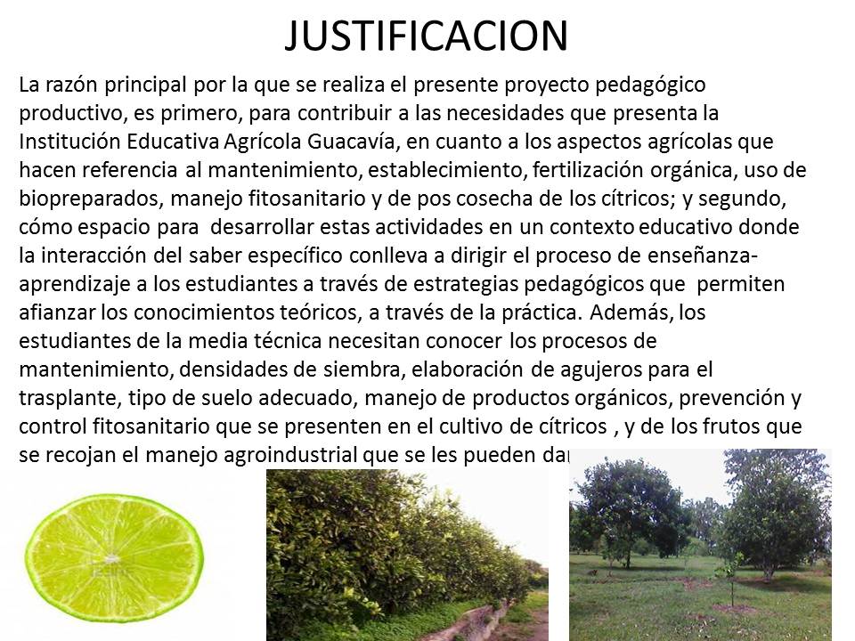 PROYECTO DE CITRICOS: JUSTIFICACION