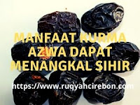Ketahui Manfaat Kurma Ajwa: Bergizi dan Dapat Menangkal Sihir Ketahui Manfaat Kurma Ajwa: Bergizi dan Dapat Menangkal Sihir