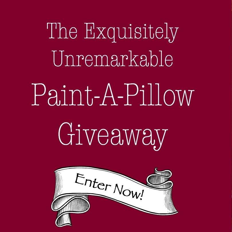 Paint-A-Pillow Giveaway