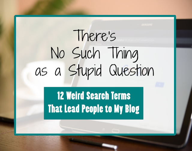 No Such Thing as a Stupid Question -- 12 strange questions, bizarre topics, and weird search terms that had led people to my blog.  {posted @ Unremarkable Files}