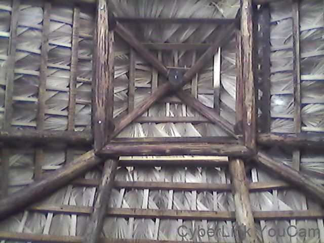 REY DE CALIFORNIA TECHOS RÚSTICOS, PALAPAS Y PÉRGOLAS : TIPOS DE TECHOS