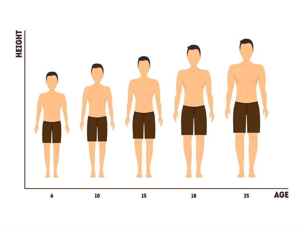 Is It Possible to Increase Your Height After 18? ZS Treatment
