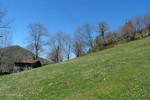 Cabañas del Corralín - Piloña - Asturias Cabañas del Corralín - Piloña - Asturias
