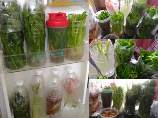 Simpan Daun Sup Daun Ketumbar Daun Fabulous Feminine Facebook