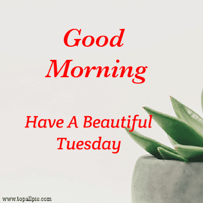 good morning tuesday images good morning tuesday images