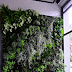 Project 03: Vertical Garden, Monde Piero 