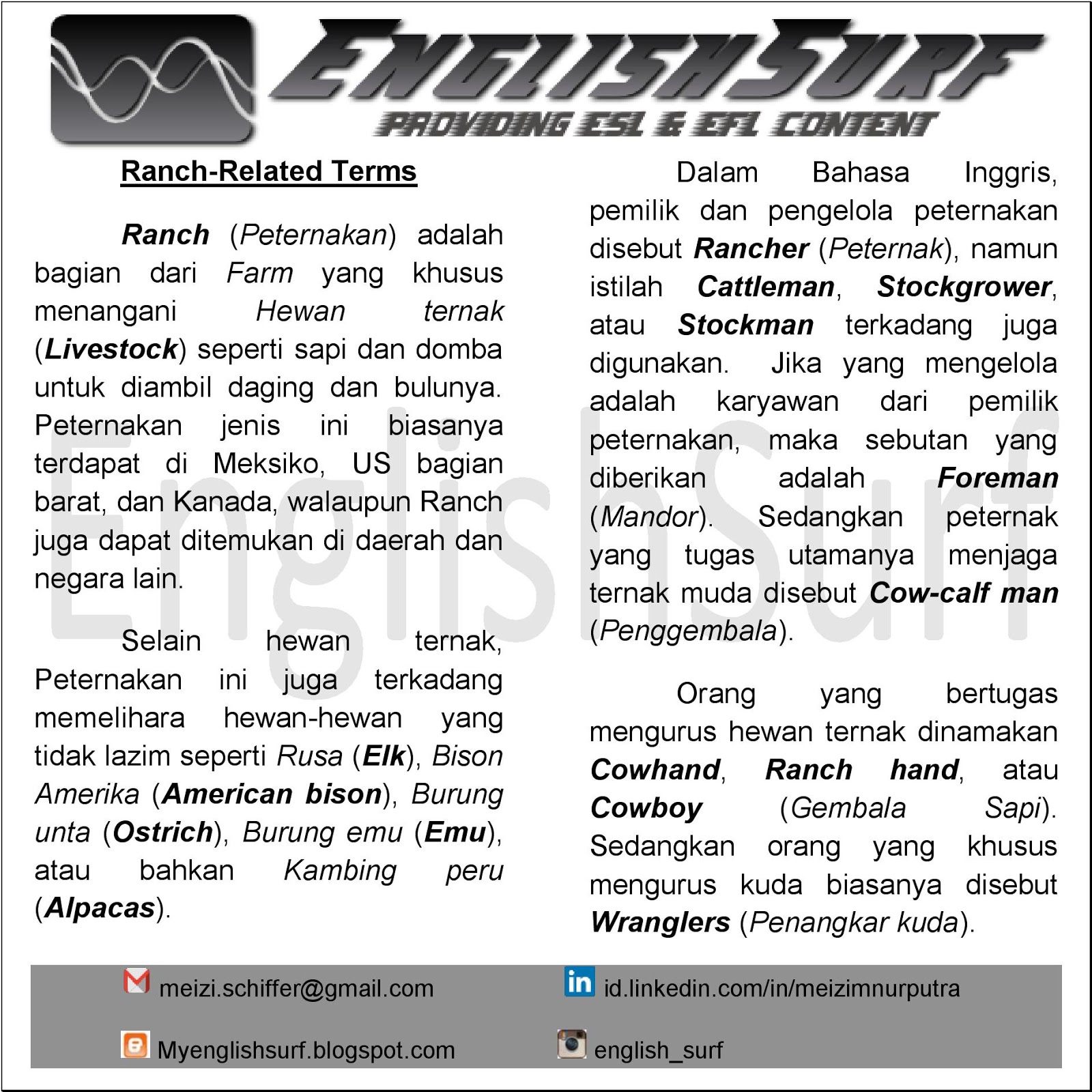 English Surf Peternakan Dalam Bahasa Inggris
