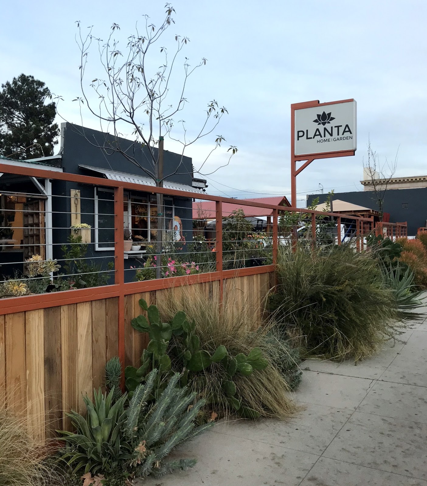danger garden Visiting a few houseplant shops, in Los Angeles
