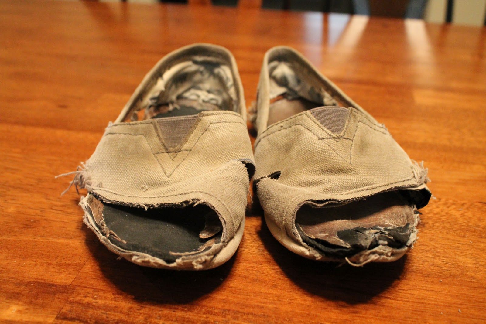 Watercolor Problems. Destructed TOMS Shoes