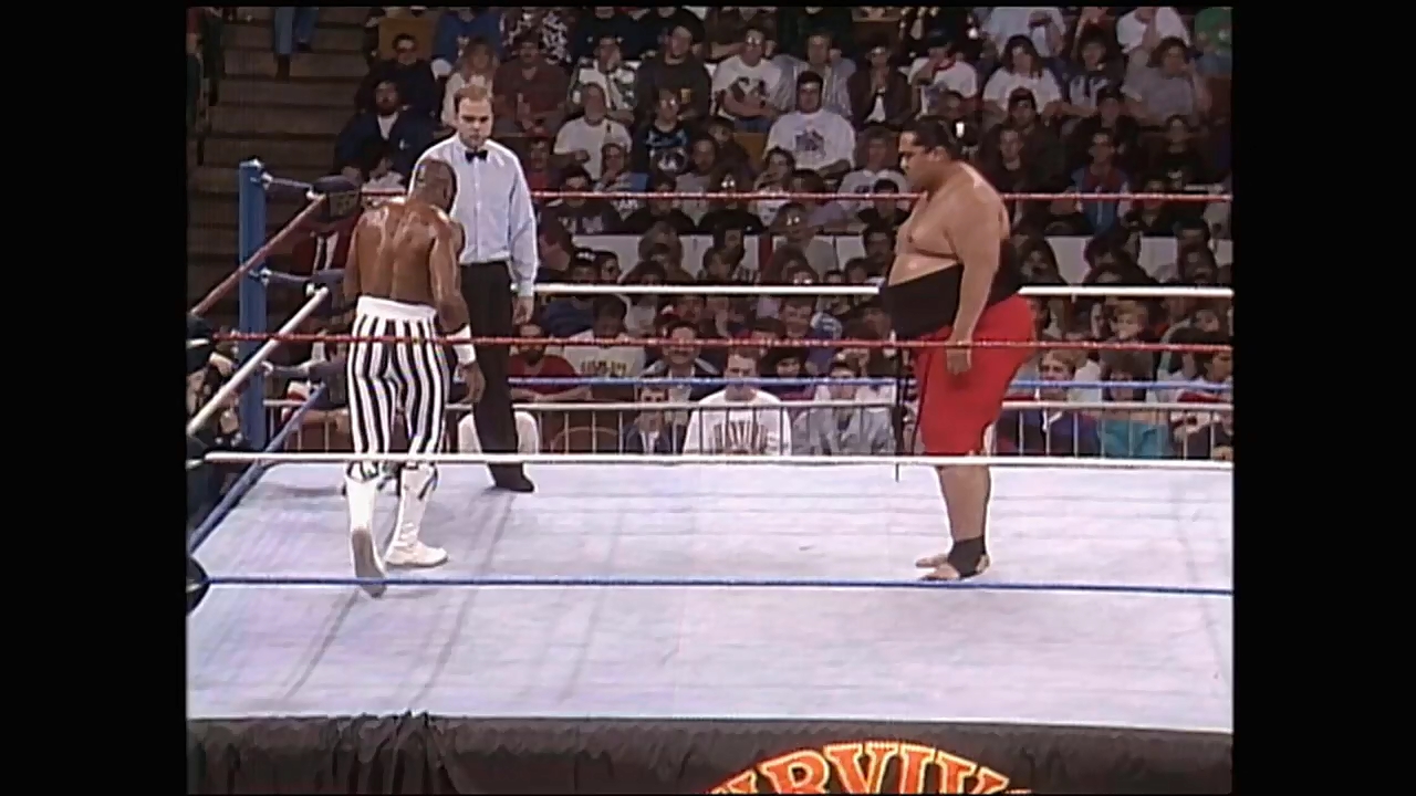 WWF Survivor Series [1992]