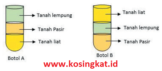 Kunci Jawaban Ipa Kelas 9 Halaman 196 200 Uji Kompetensi 9 Kosingkat