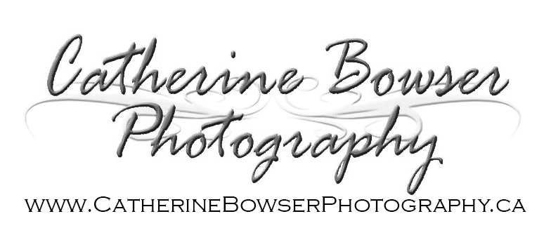 Rockland Ontario Photographer - Catherine Bowser Photography