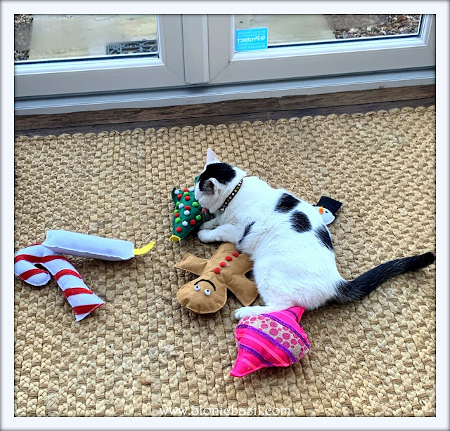 Look Who's Hogging All The Toys ©BionicBasil® Sunday Selfies