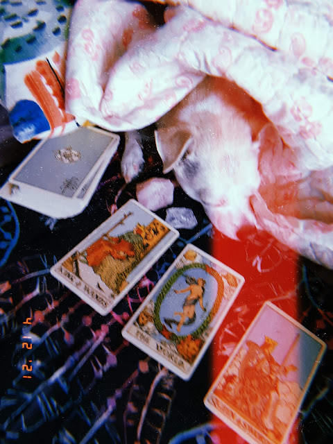 Aquarius Tarot Reading