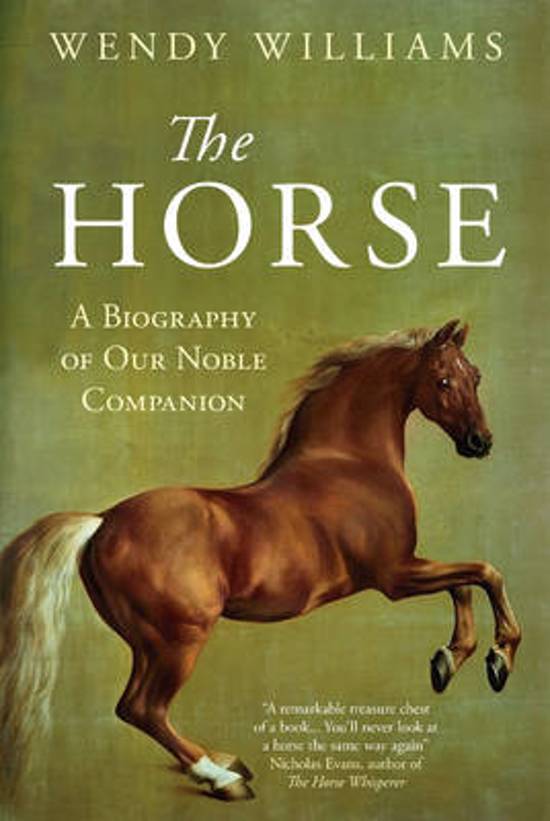 Book Review The Horse