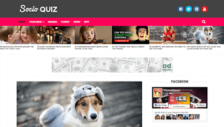 Socio Viral Buzz Blogger Template 