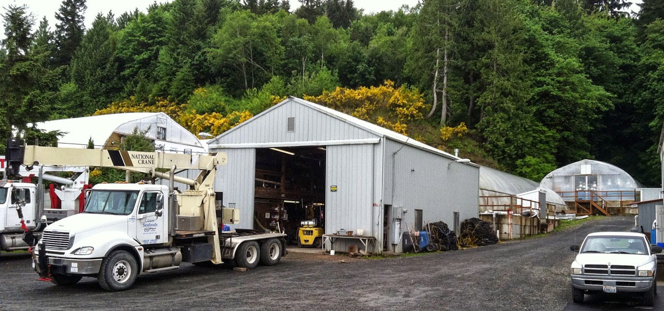 OnTheMoveRoad Trips Quilcene and Oysters