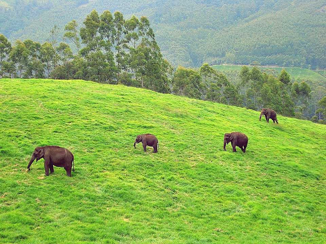 Biosphere Reserves