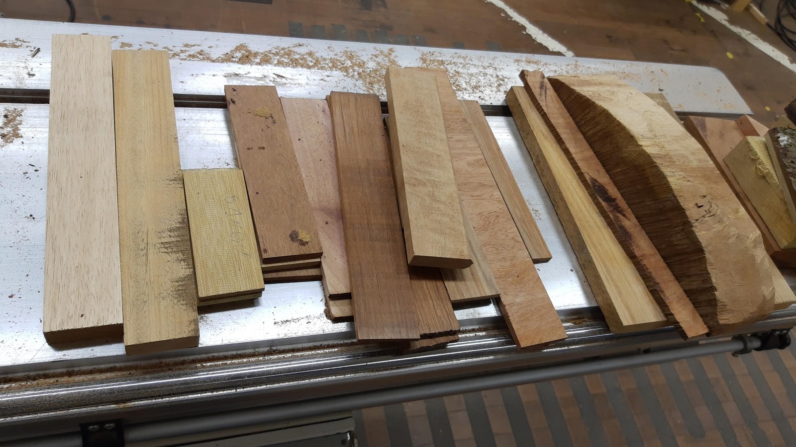 O que é madeira – Xiloteca da UFAM