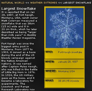 Can Two Snowflakes Be Identical Myth Busted And Other Snowflakes Related Facts It was like the sky was throwing. can two snowflakes be identical myth