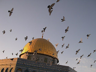 صور الأقصى 2023 أجمل صور فلسطين والقدس