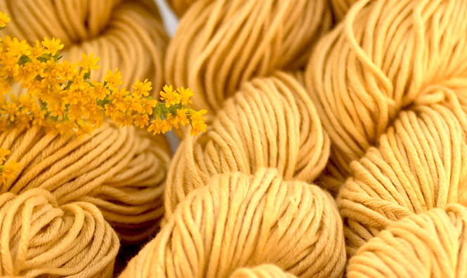 how to use natural dyes goldenrod nancy tranter