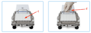 How to fill capsule manually How to fill capsule manually