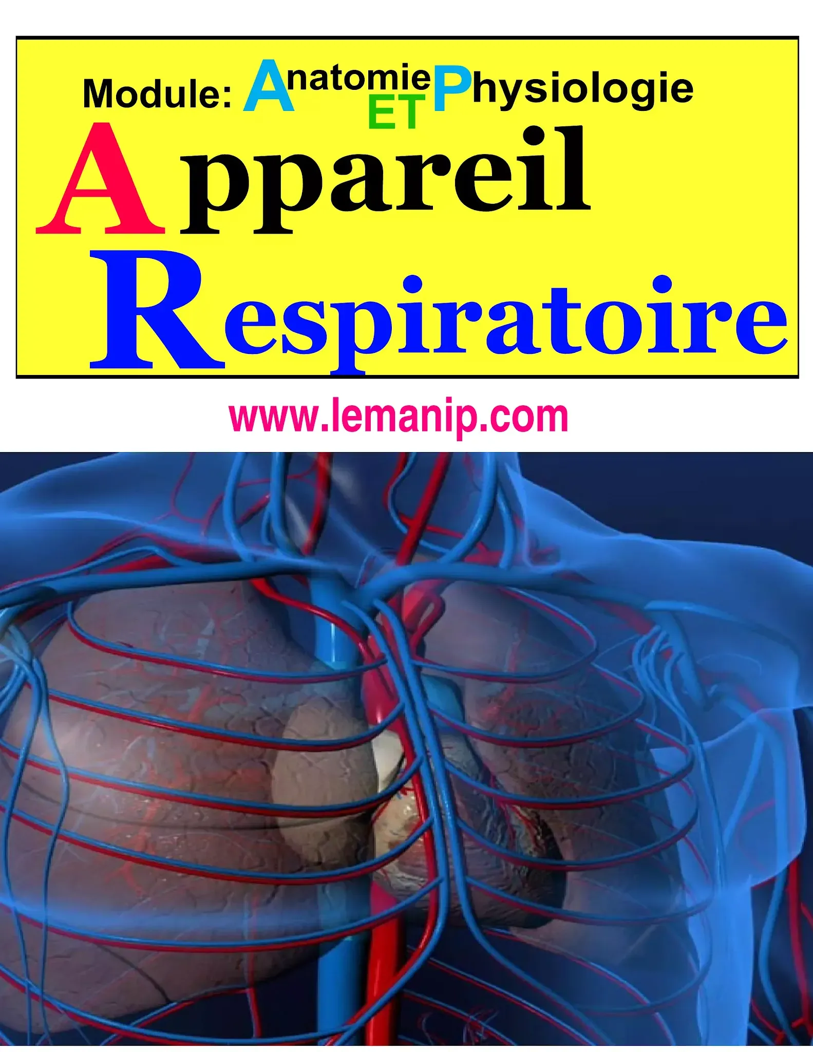 Module : Anatomie  Et Physiologie  Poumons, Systeme Et Appareil Respiratoire       Corps Humain Femme Et Homme
