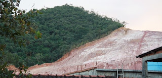 La deforestación ilegal repunta en la Amazonia brasileña
