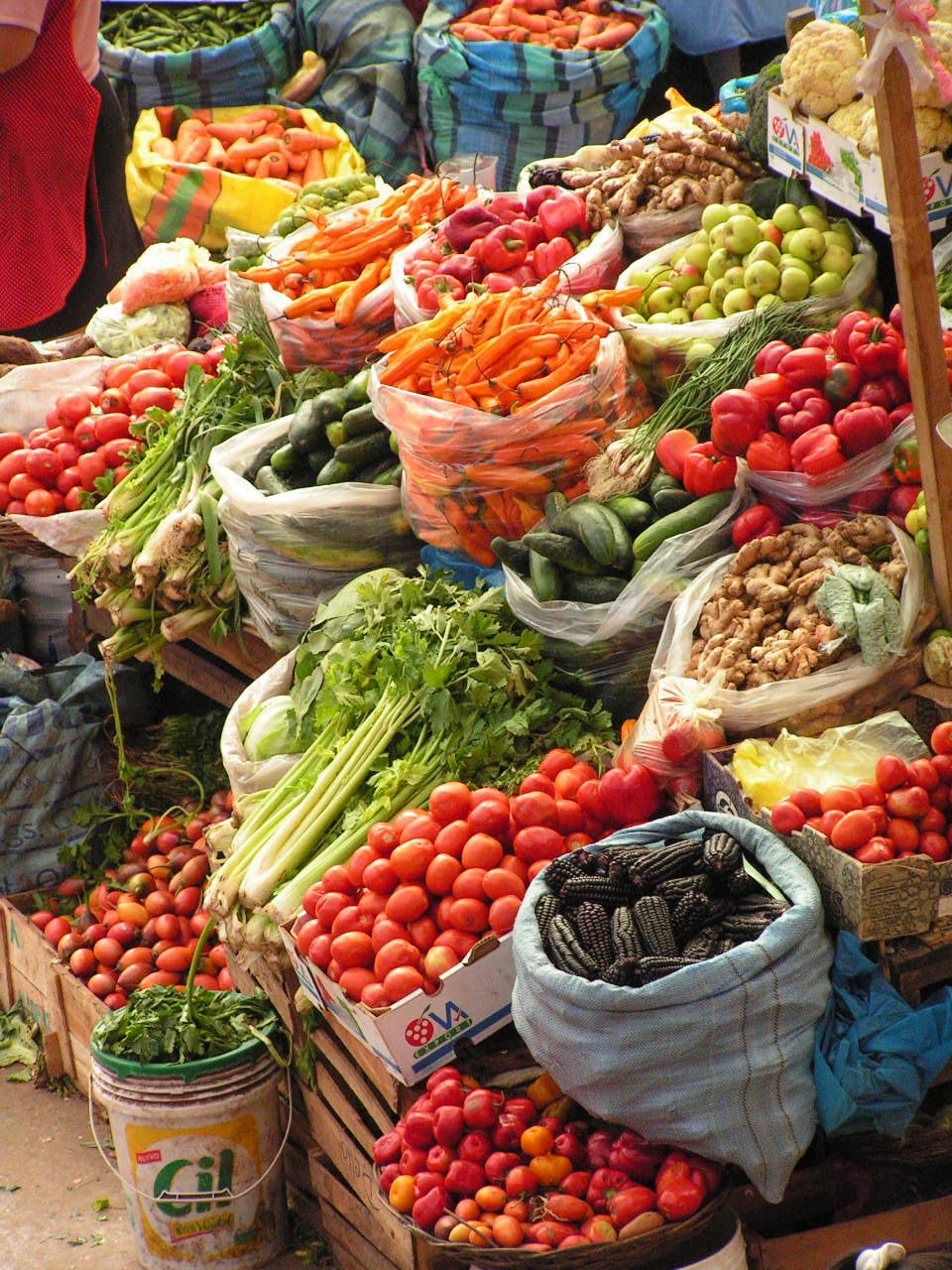 A Visit To The Vegetable Market The best english essays