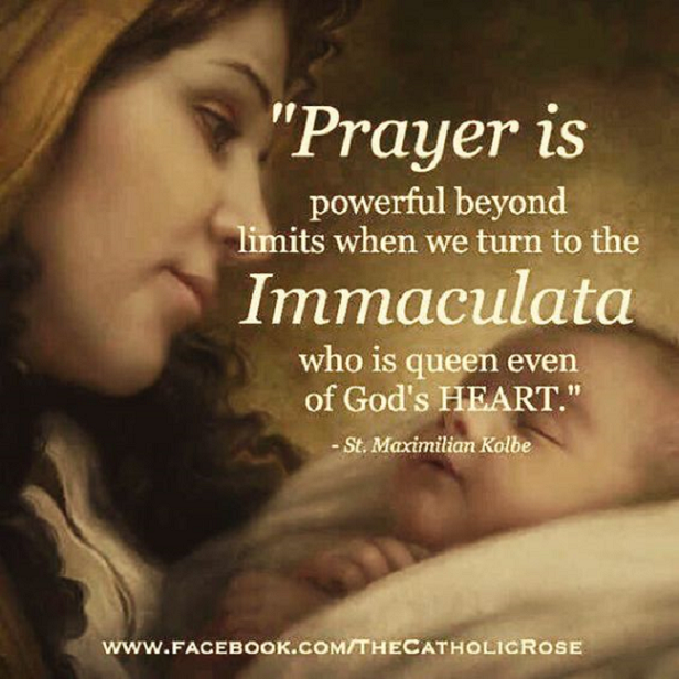 Zephyrinus: "The Immaculata: Who Is Queen, Even Of God's Heart