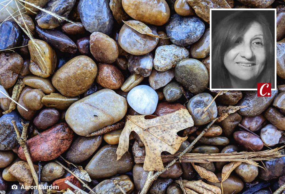 A voz das pedras  Ambiente de Leitura Carlos Romero