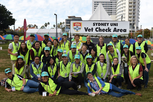 Million Paws Walk, volunteer veterinarians