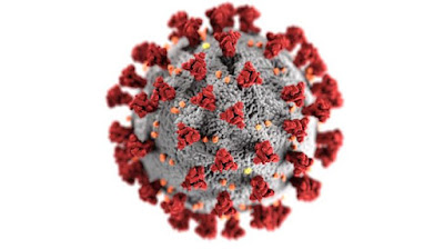 Severe Acute Respiratory Syndrome coronavirus 2 (SARS-CoV-2) illustration by the CDC.gov