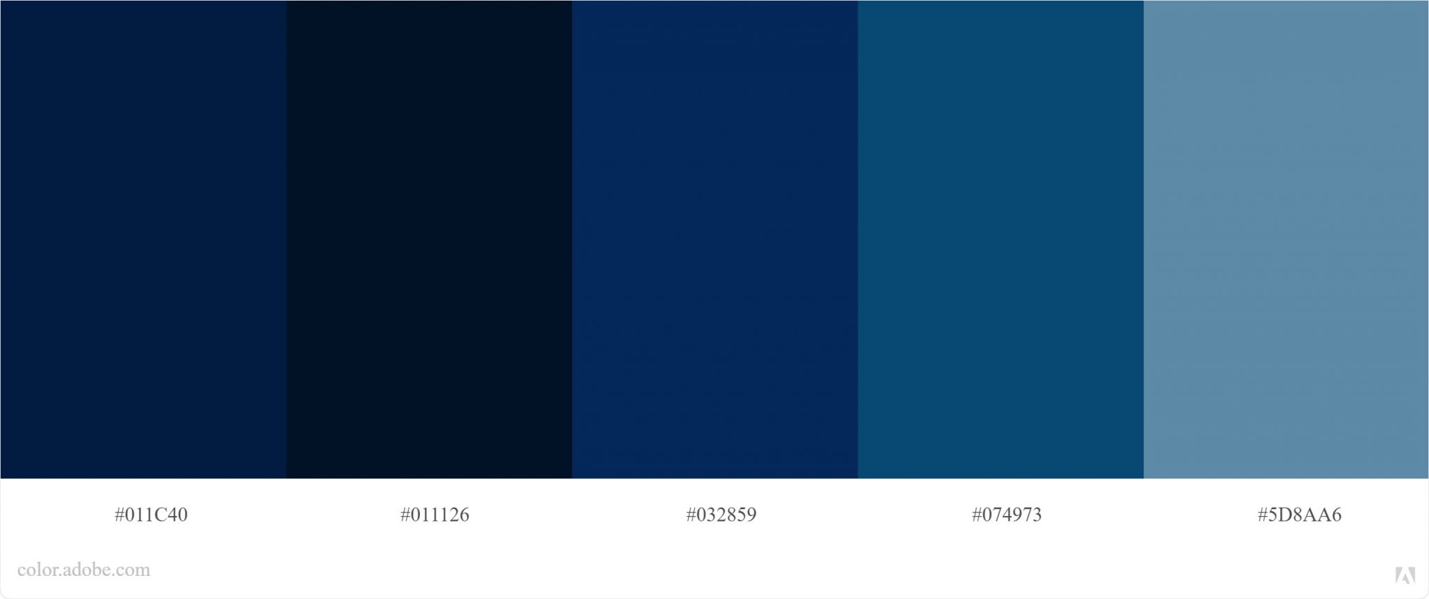 Kode Warna Biru dan Adobe Illustrator WSM Project