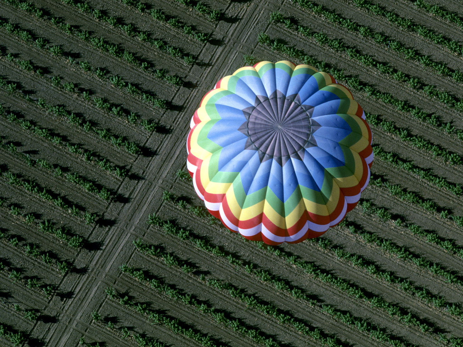 Floating over. Макушка земли. Air Balloons from above. Hot Air Balloon Top view.