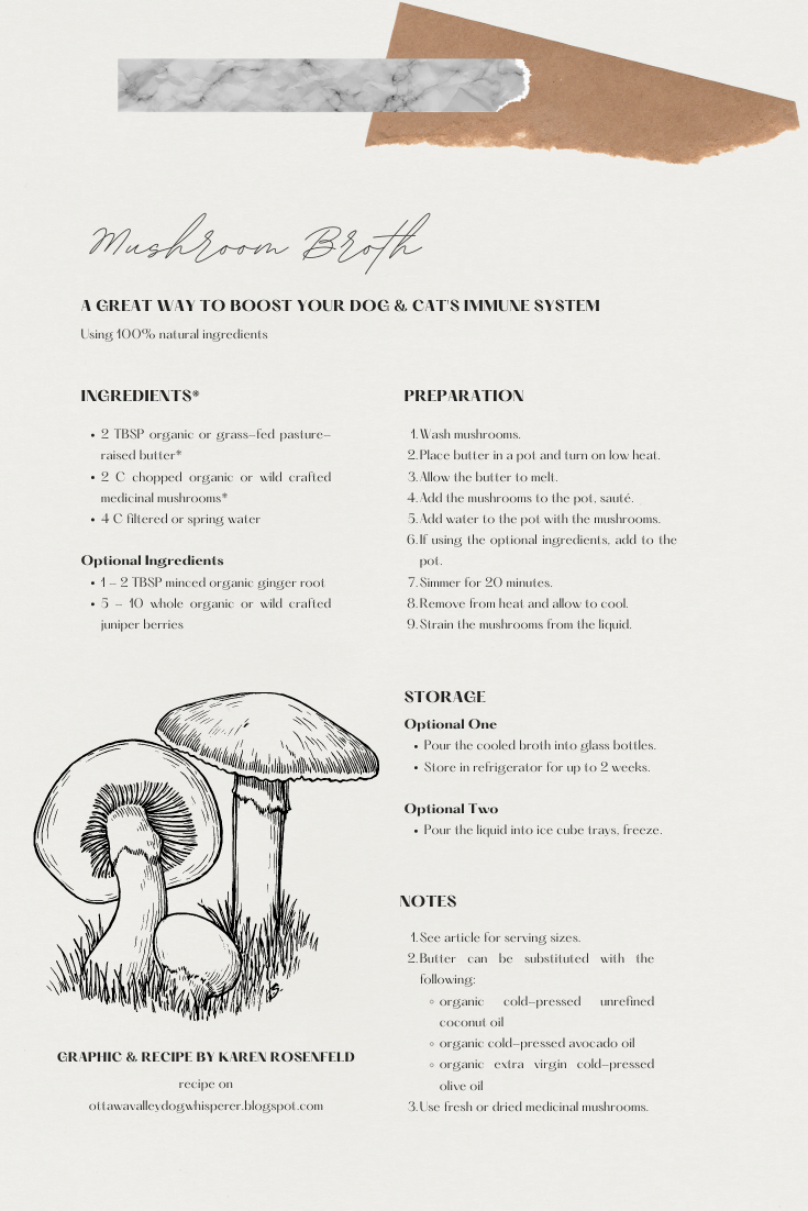 Mushroom Broth Recipe for Dogs, Cats Food is Medicine