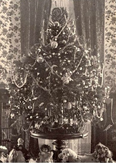 My Little Old World Gardening Home Poetry And Everything Romantic That Makes Us Dream Christmas Eve 1923 Pres Coolidge Lights The First National Christmas Tree At The White House