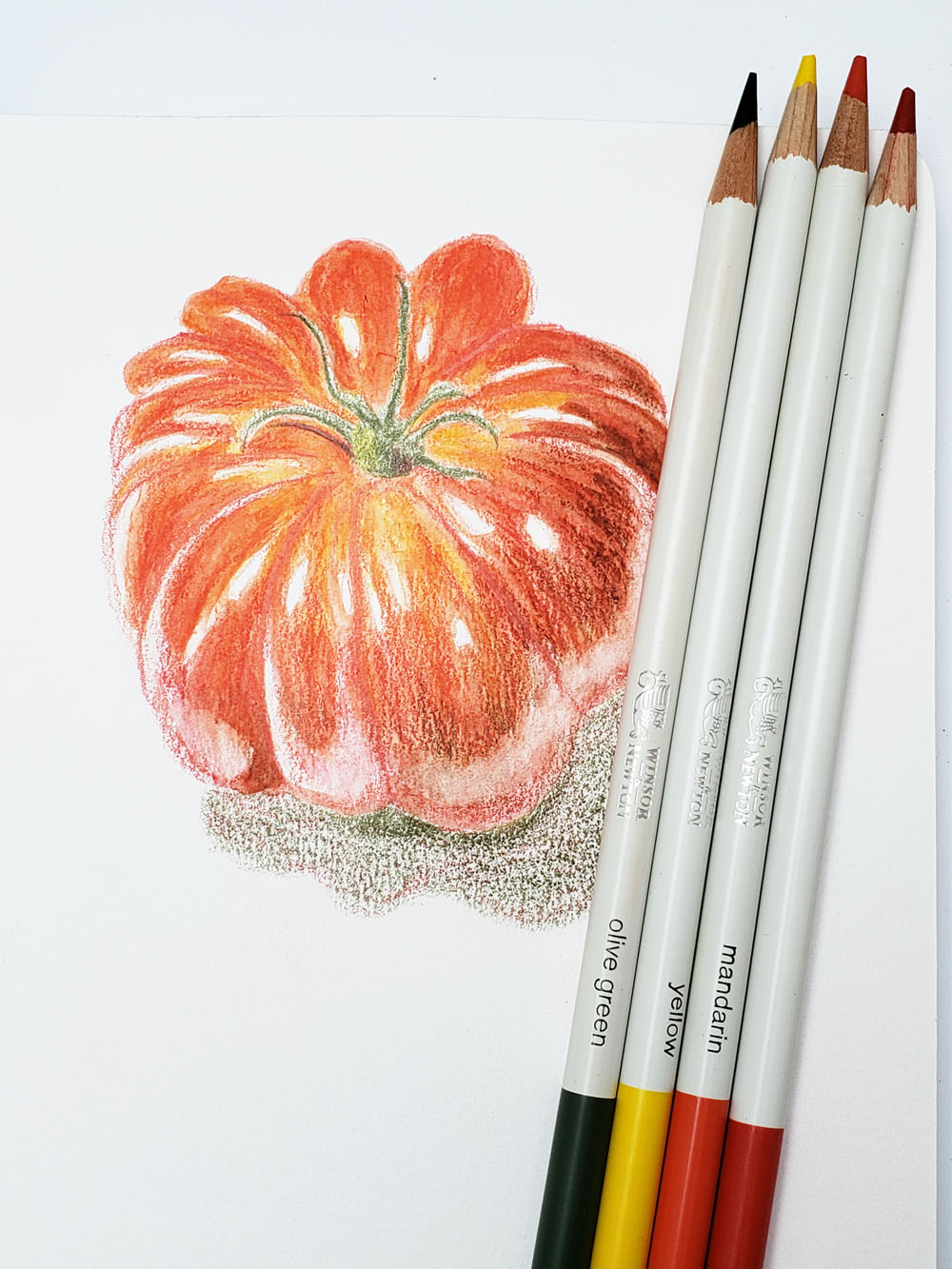 Winsor Newton Studio Collection Water Colour Pencil Set - Philadelphia  Museum Of Art